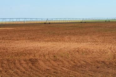 Property in Texas County, Oklahoma