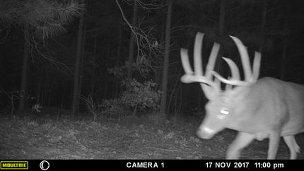 Property in Johnson County, Illinois