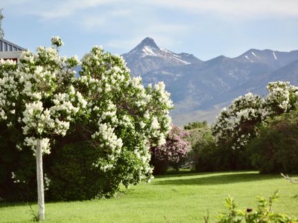 Property in Butte County, Idaho