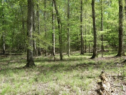 Property in Scott County, Mississippi