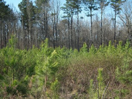 Property in Neshoba County, Mississippi