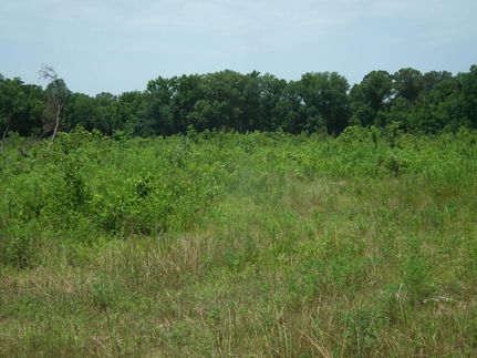 Property in Lowndes County, Mississippi
