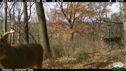 Property in Fayette County, Iowa