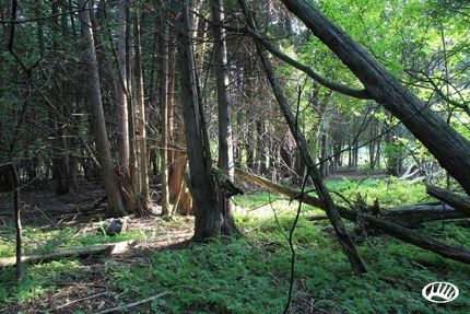 Property in Manitowoc County, Wisconsin