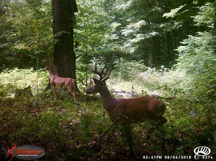 Property in Dickson County, Tennessee