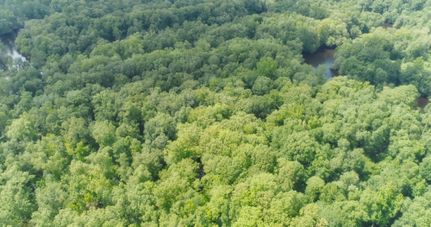 Property in Orangeburg County, South Carolina