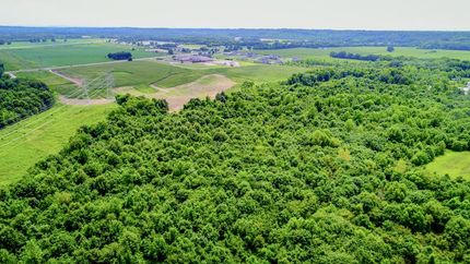 Property in Morgan County, Alabama