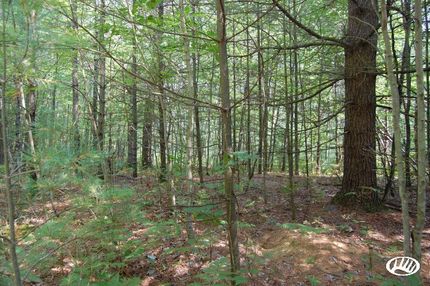 Property in Alcona County, Michigan