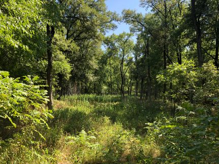 Property in Hunt County, Texas