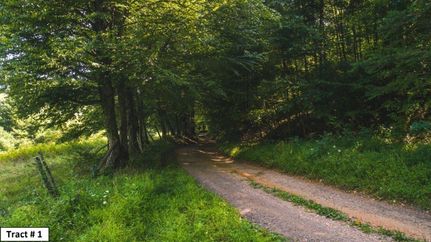 Property in Floyd County, Virginia