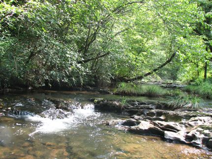 Property in Polk County, Tennessee