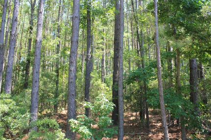 Property in Berkeley County, South Carolina