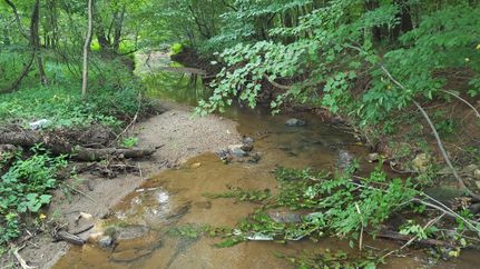 Property in Amherst County, Virginia