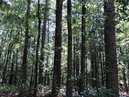 Property in Cleveland County, Arkansas