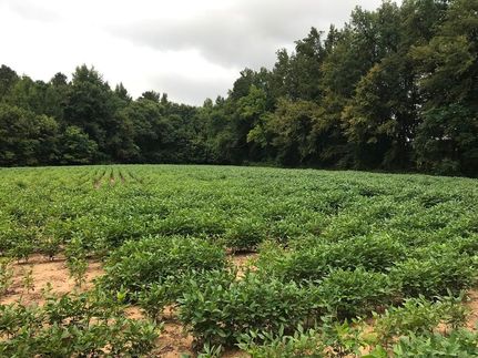 Property in Cumberland County, North Carolina