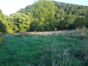 Property in Augusta County, Virginia