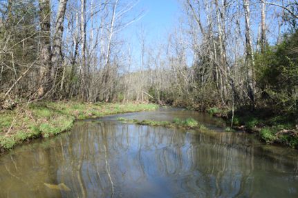 Property in Cocke County, Tennessee