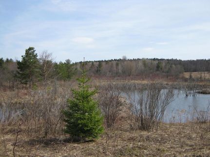 Property in Cayuga County, New York