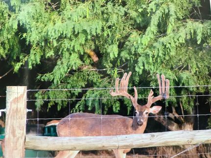 Property in Cameron County, Texas