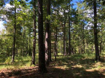 Property in Monroe County, Georgia