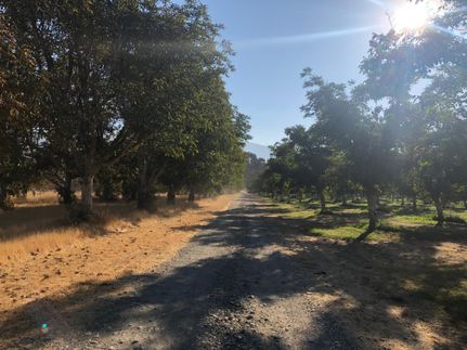 Property in Yolo County, California