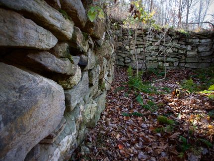 Property in Androscoggin County, Maine