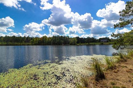 Property in Candler County, Georgia