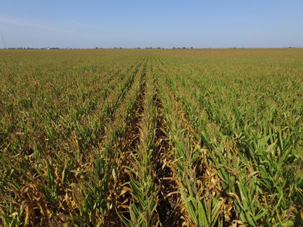 Property in Iroquois County, Illinois