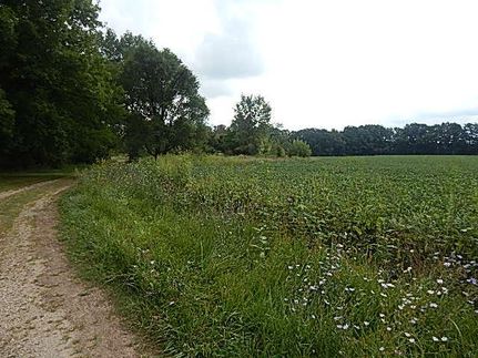 Property in Van Buren County, Michigan