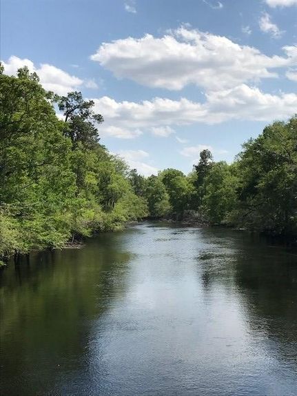 Property in Marion County, South Carolina