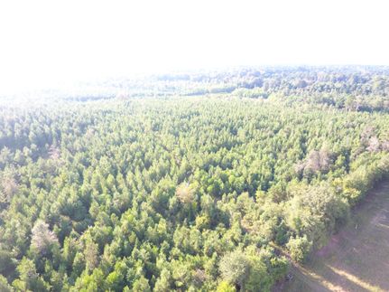 Property in Rapides Parish, Louisiana