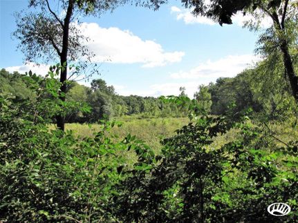 Property in Kosciusko County, Indiana