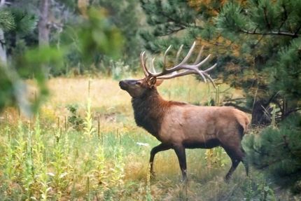 Property in Las Animas County, Colorado