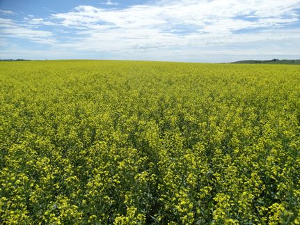 Property in Bottineau County, North Dakota