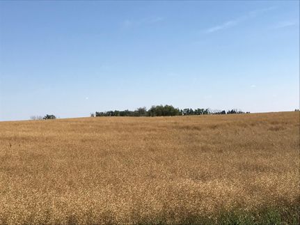 Property in McLean County, North Dakota