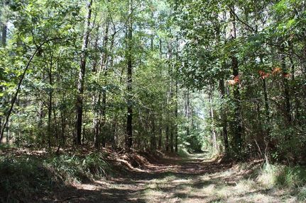 Property in Rankin County, Mississippi