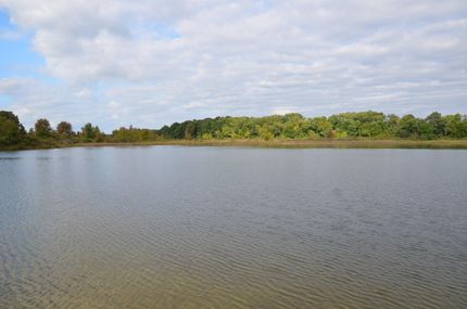 Property in Branch County, Michigan