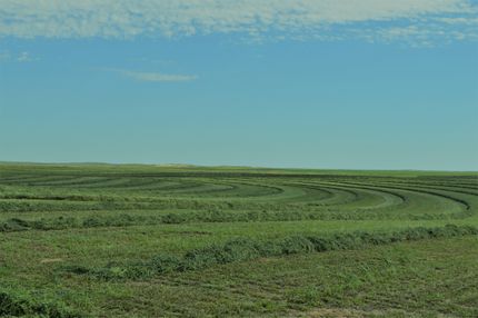 Property in Cimarron County, Oklahoma