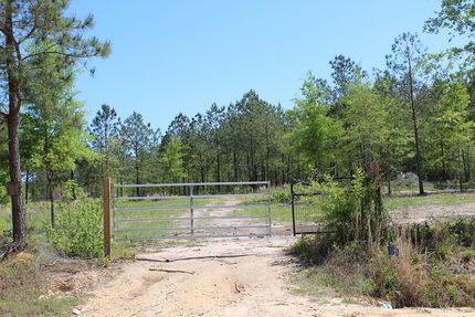 Property in Warren County, Georgia