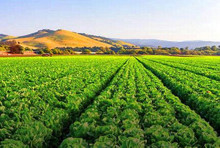 Property in Kings County, California