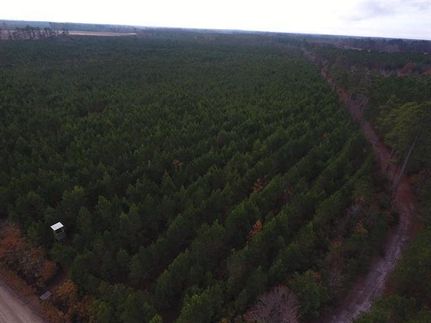 Property in Martin County, North Carolina