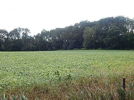 Property in Jackson County, Michigan