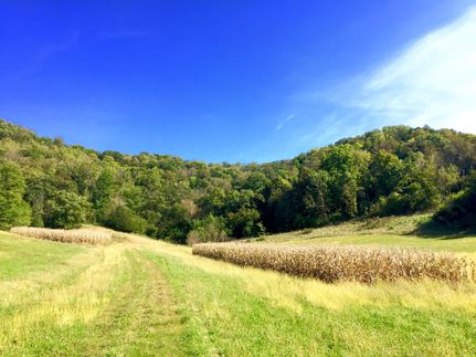 Property in Allamakee County, Iowa