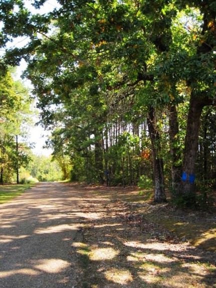 Property in LaSalle Parish, Louisiana