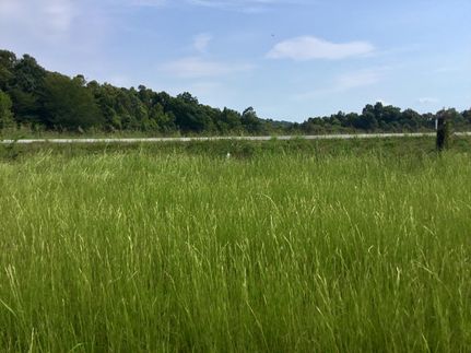 Property in Caldwell County, Kentucky