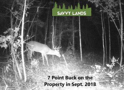 Property in Hardin County, Texas