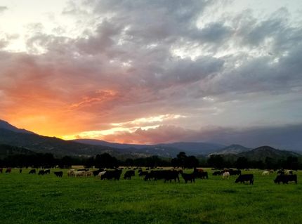 Property in Glenn County, California