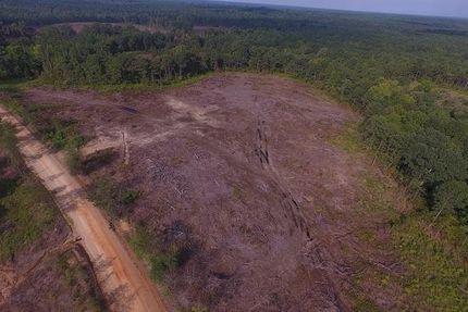 Property for sale in Hempstead County, Arkansas