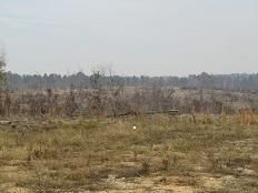 Property for sale in Clark County, Arkansas