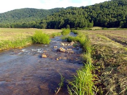 Property in Wilkes County, North Carolina